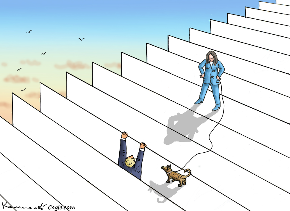 Trumps Reality