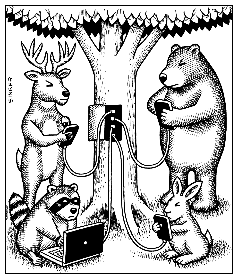 Animals Charge Electronic Devices