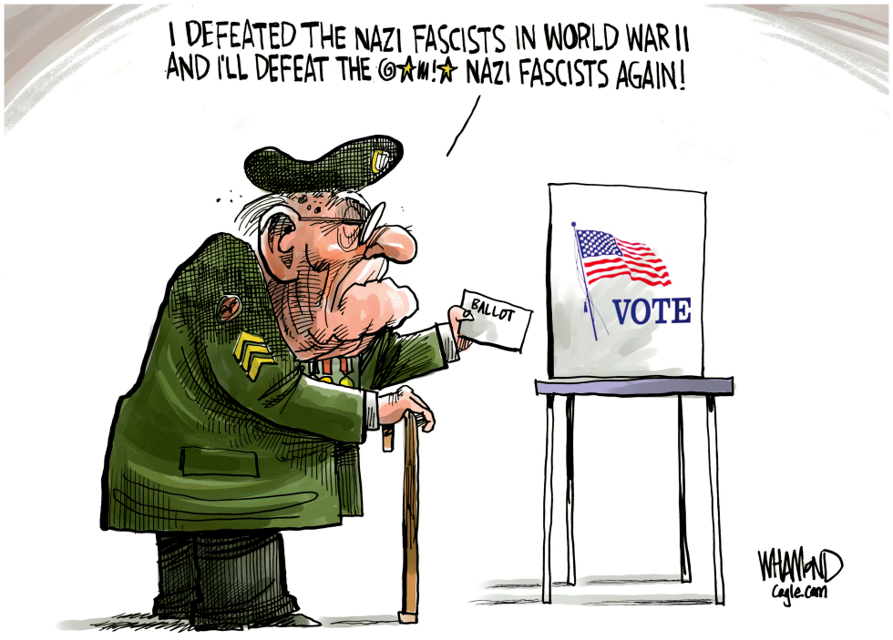 Voting to save democracy