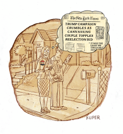 CANVASING FOR THE 2024 ELECTION by Peter Kuper