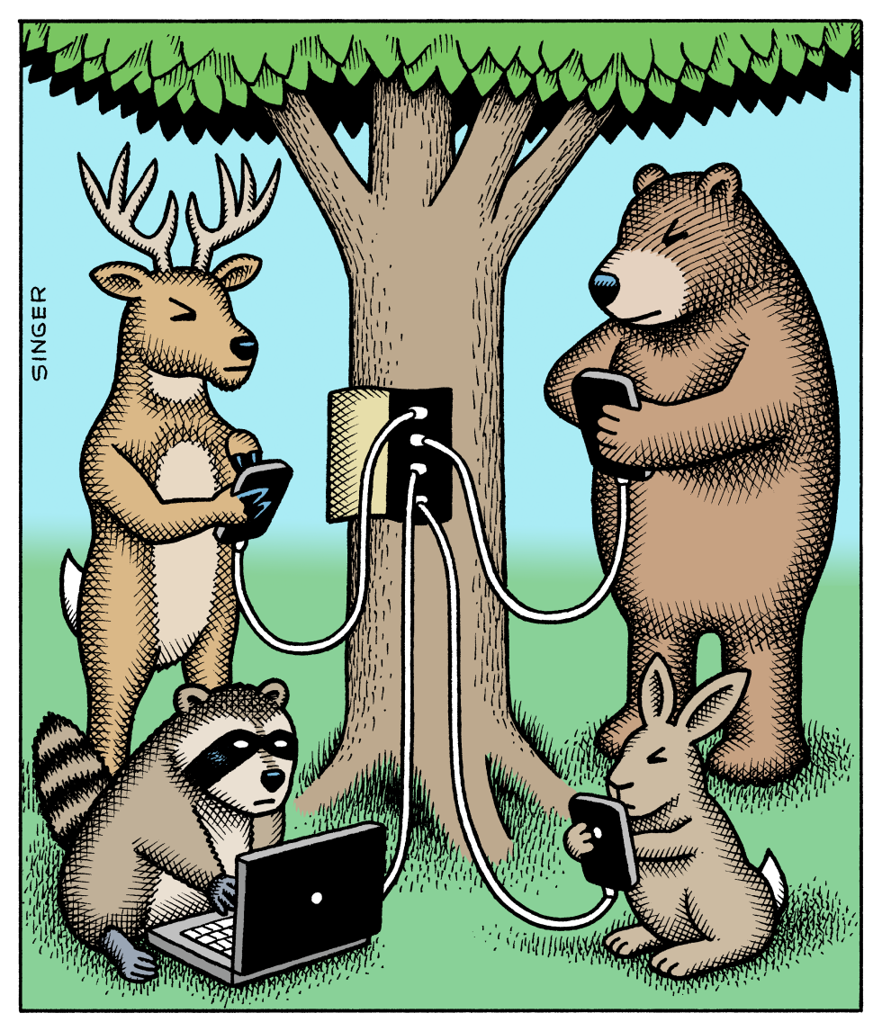 Animals Charge Electronic Devices