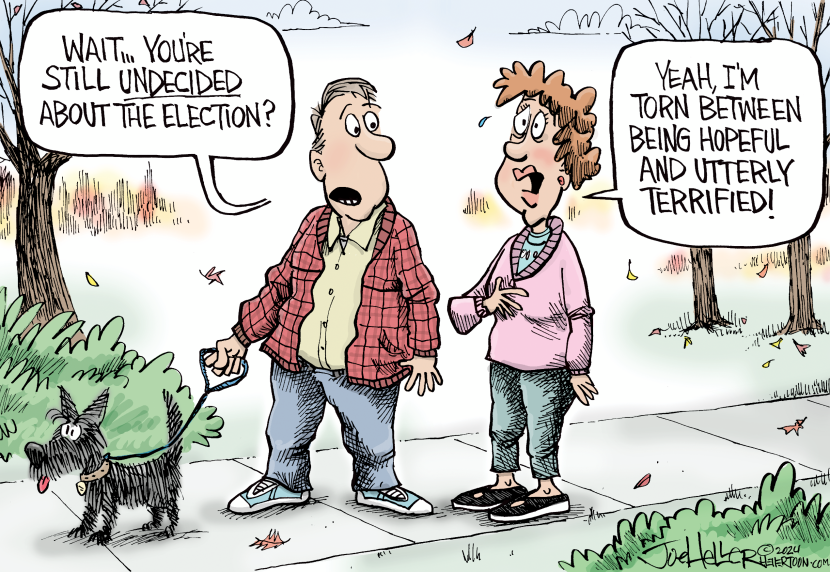 Torn and Undecided
