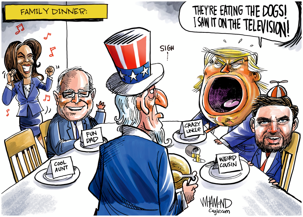 American presidential choices