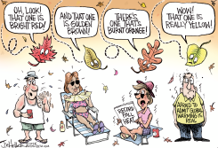FALL HEAT by Joe Heller