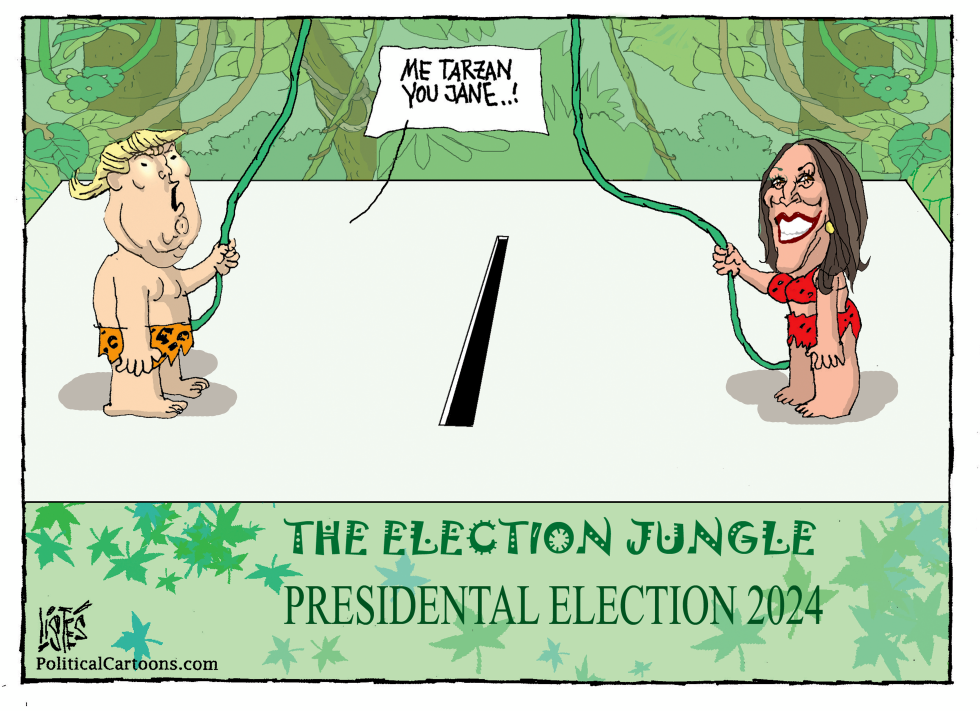 THE ELECTION JUNGLE FOR TRUMP AND HARRIS