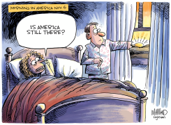 ELECTION FALLOUT by Dave Whamond
