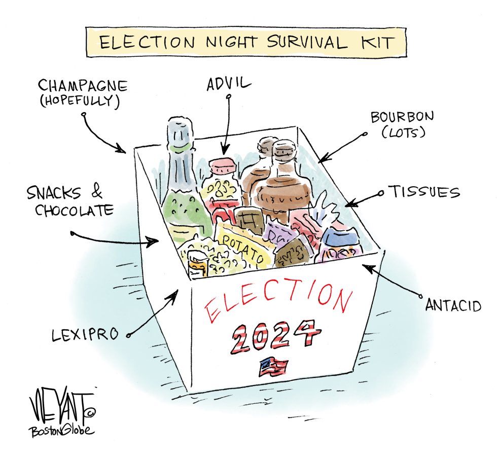 Survival Kit for the Election