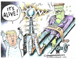 PROJECT 25 ALIVE by Dave Granlund