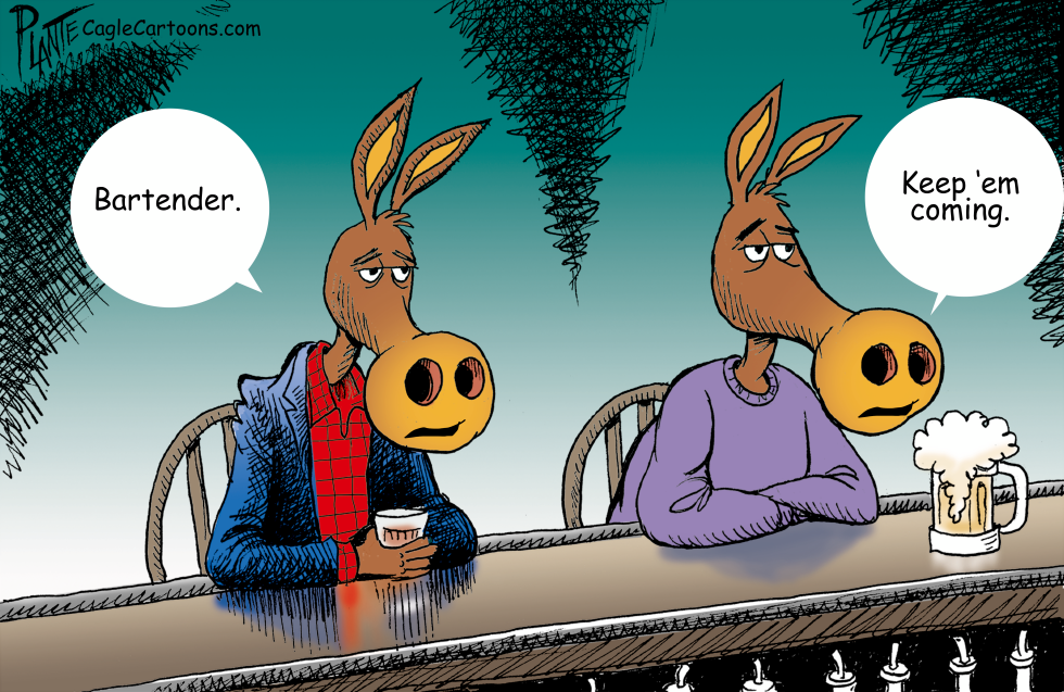 Two sad democrats sitting at a bar