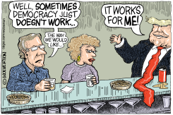 COUPLE BEMOANING DEMOCRACY BUT TRUMP CELEBRATES IT by Monte Wolverton