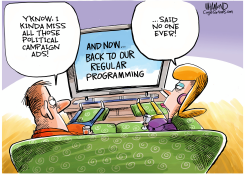 END OF ELECTION CAMPAIGN ADS by Dave Whamond