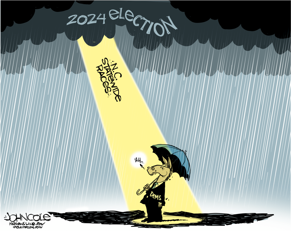 NORTH CAROLINA Dems find ray of light in the gloom