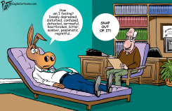 A SAD DEMOCRAT TALKING ON A PSYCHIATRIST'S COUCH by Bruce Plante