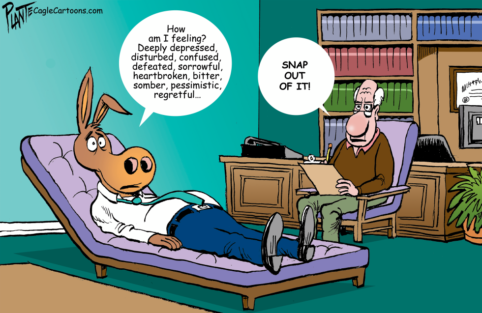 A sad Democrat talking on a psychiatrist's couch
