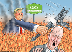 PARIS CLIMATE AGREEMENT by Marian Kamensky