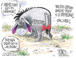 DEMOCRATS POST-ELECTION ANALYSIS by John Darkow