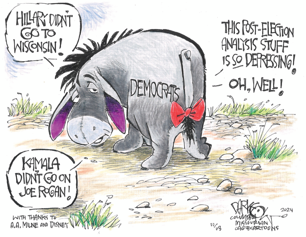 Democrats post-election analysis