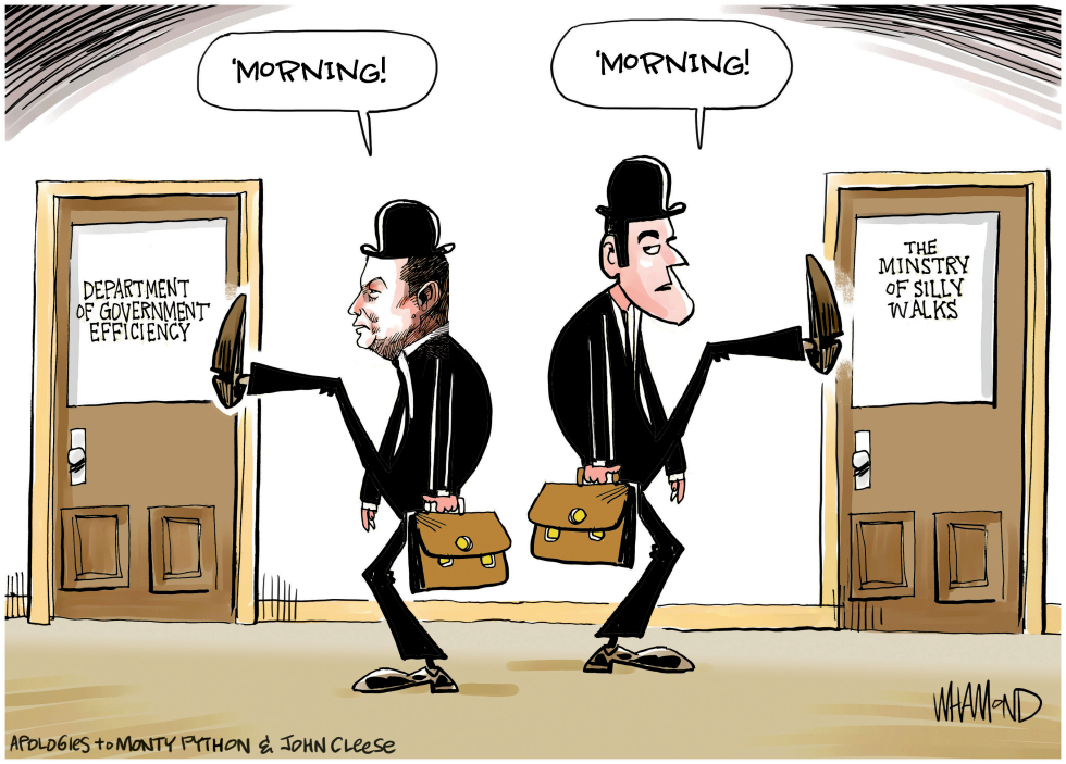 Department of Government Efficiency