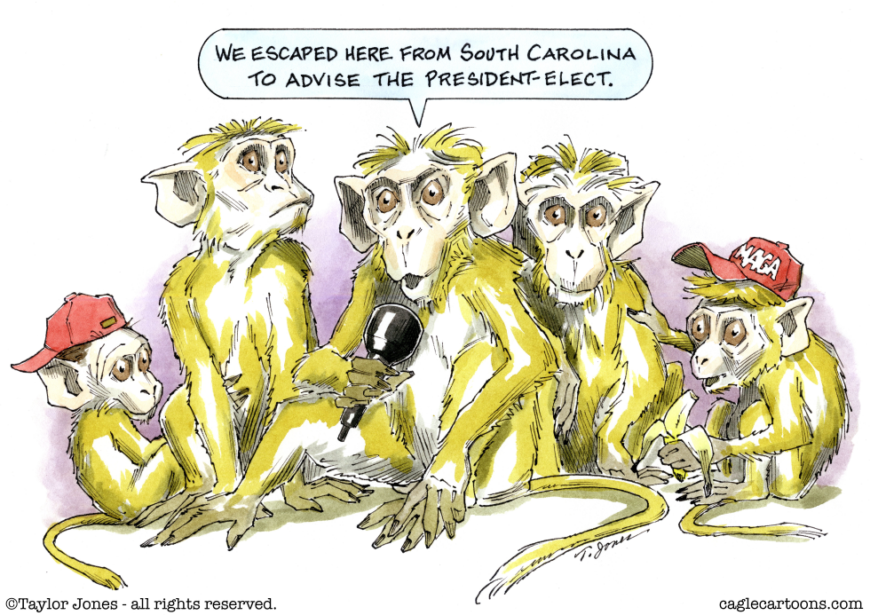Trump advisors