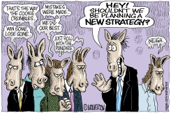 DEMS GRIEVE LOSS WITH NO NEW STRATEGY by Monte Wolverton