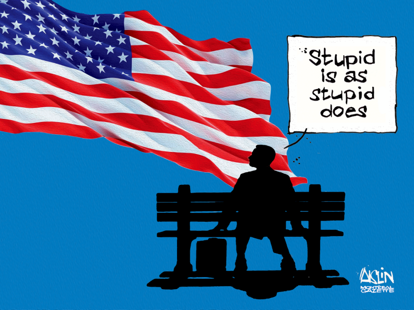 Stupid Is As Stupid Does