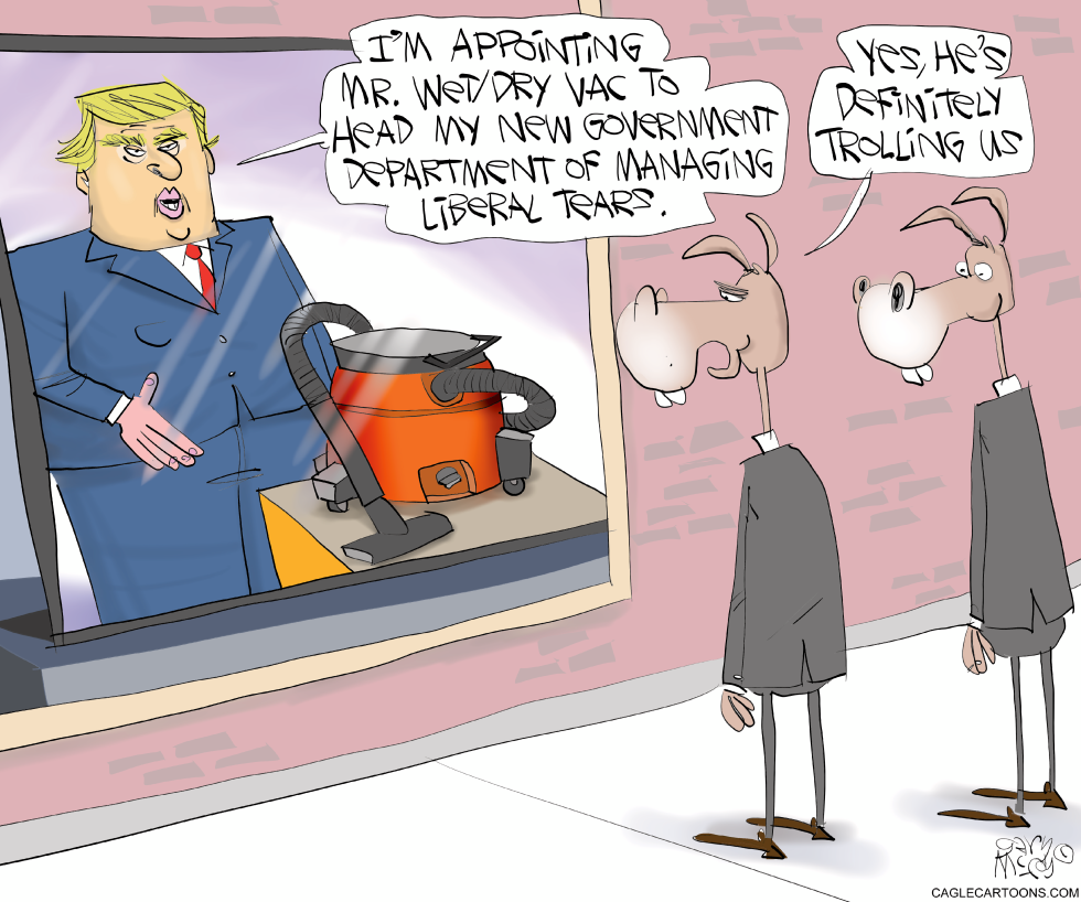 Trump Picks Nominees