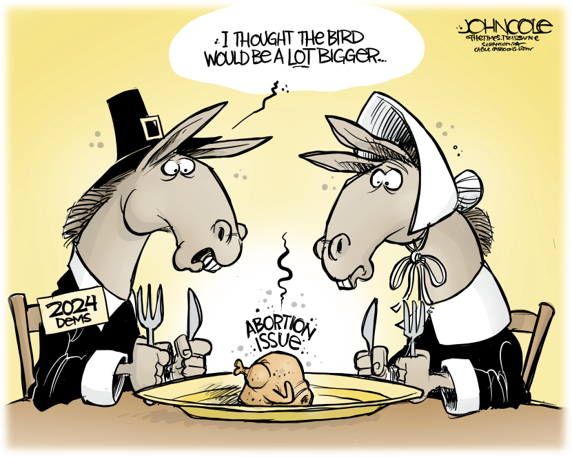 Abortion issue a turkey for Democrats