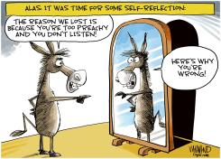 DEMOCRAT BLAME GAME by Dave Whamond