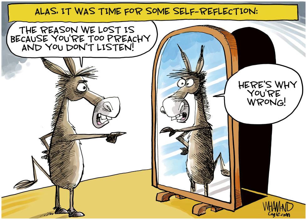 Democrat blame game