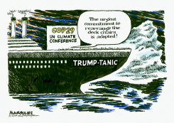 UN CLIMATE CONFERENCE by Jimmy Margulies