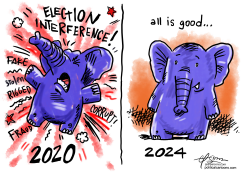 ELECTION INTERFERENCE COMPLAINTS by Guy Parsons