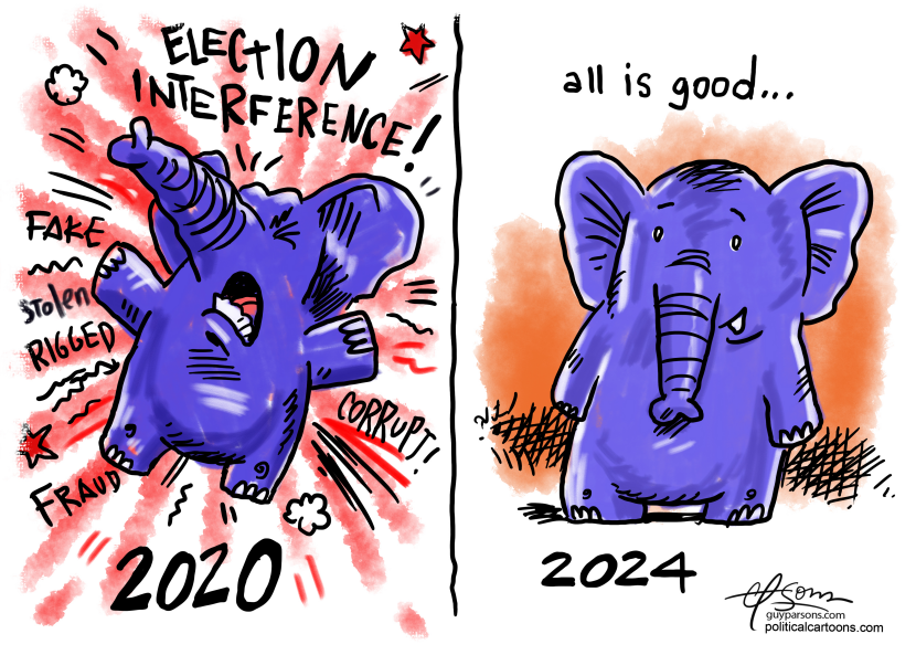 Election interference complaints