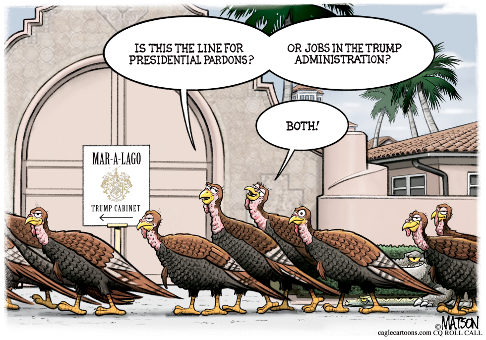 #3 TRUMP TURKEYS LINE UP FOR PARDONS AND JOBS by R.J. Matson