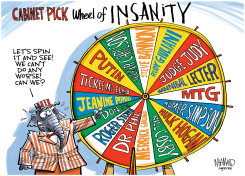 TRUMP CABINET PICK INSANITY by Dave Whamond