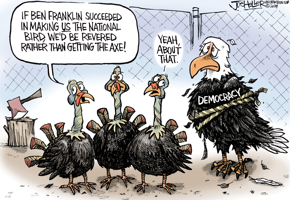 Democracy Axed