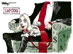 BONDI AG LAP DOG by Bill Day