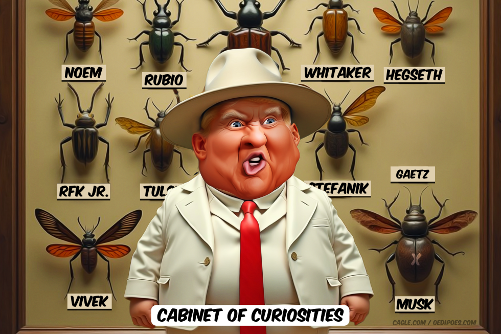 Trump standing before a collection of insects