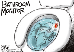 BATHROOM TRANS MONITOR by Pat Bagley