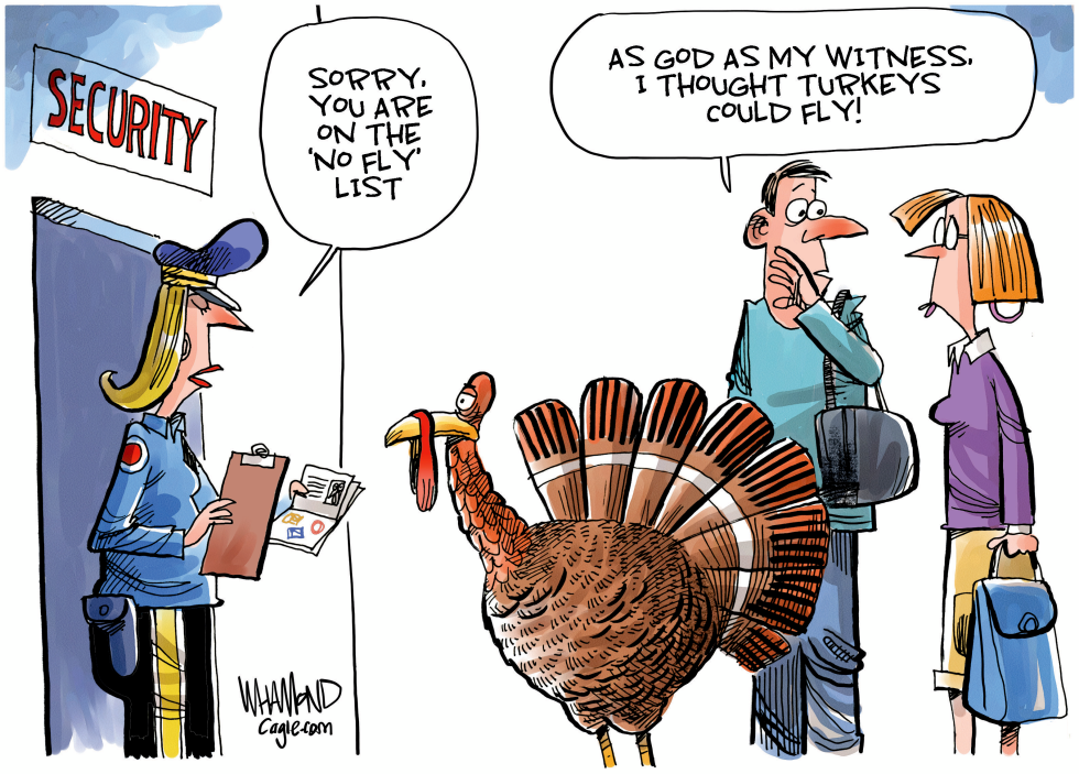 Thanksgiving travel