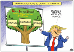 TRUMP'S NEW BRANCHES OF GOVERNMENT by Christopher Weyant