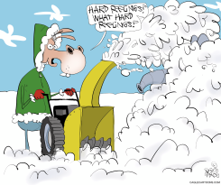 DEMS NOT ACCEPTING LOSS by Gary McCoy