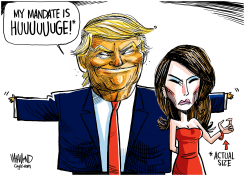 THE TRUMP MANDATE by Dave Whamond