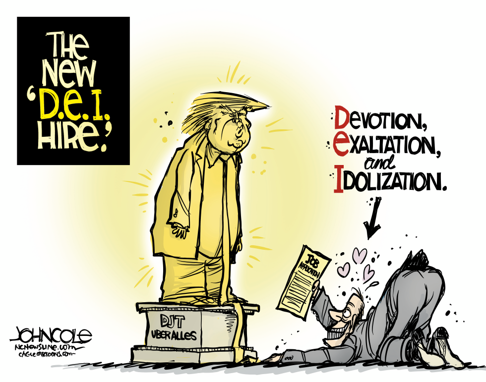 The new DEI hire