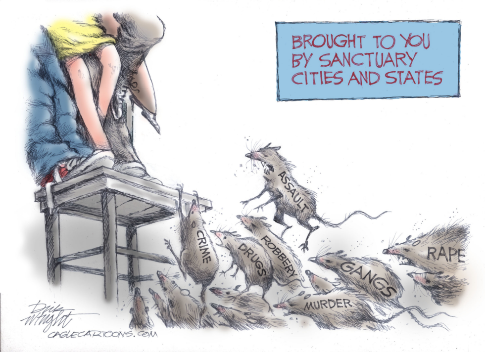 Sanctuary City Chaos