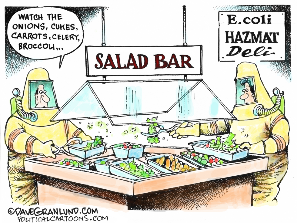 #1 E COLI TAINTED VEGETABLES 2024 by Dave Granlund