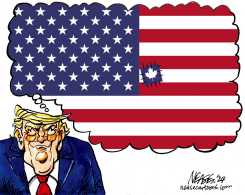 51ST STATE by Steve Nease