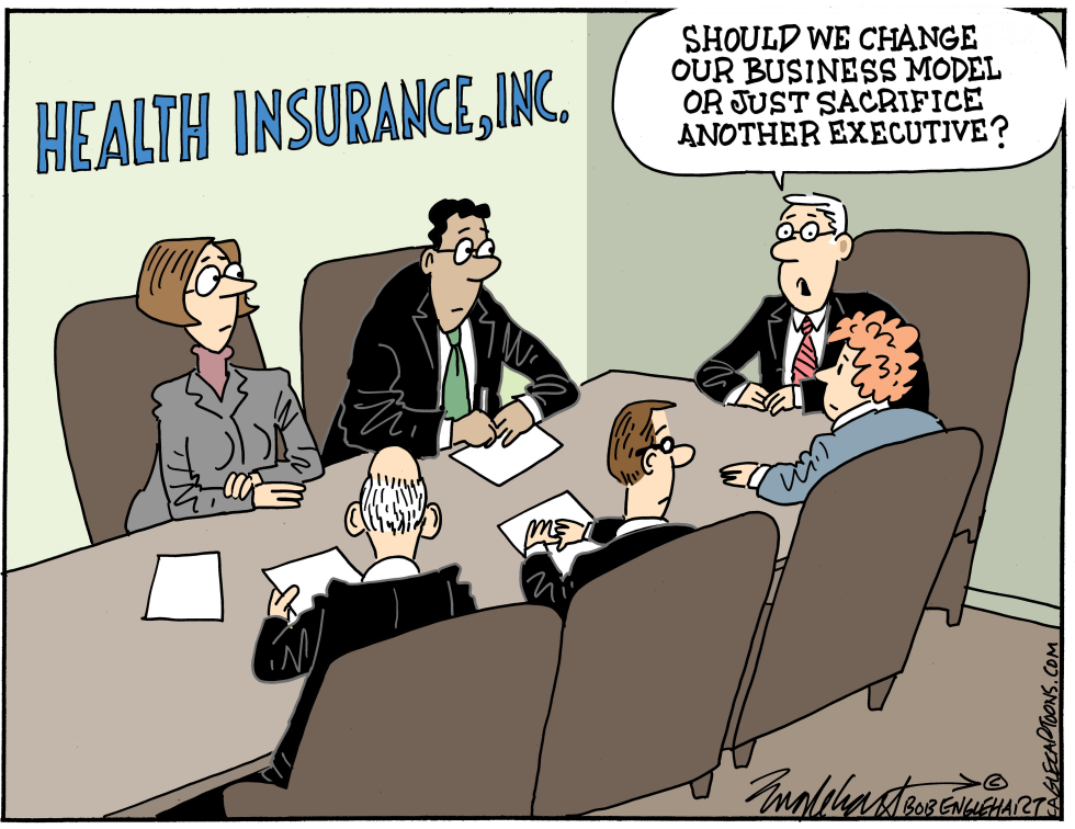 Health Insurance Business Model Fails