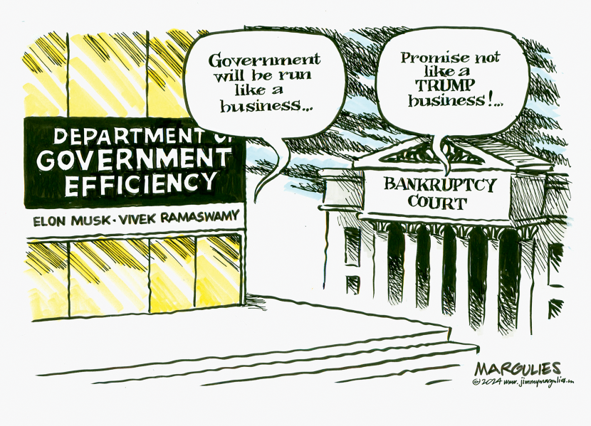Department of Government Efficiency