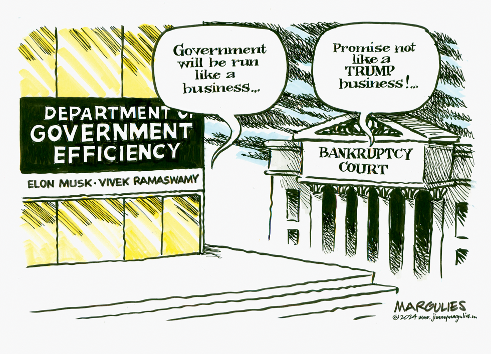 Department of Government Efficiency