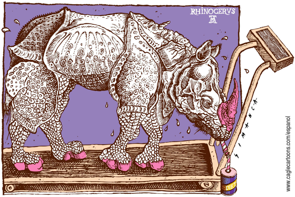 The Diet of the Rhino